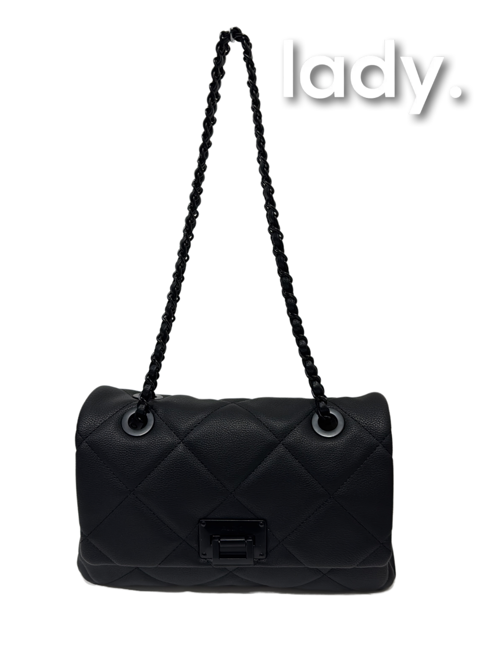 Bolso Negro de Mano Marca Aldo