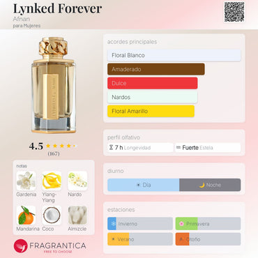 Perfume Afnan Lynked Forever